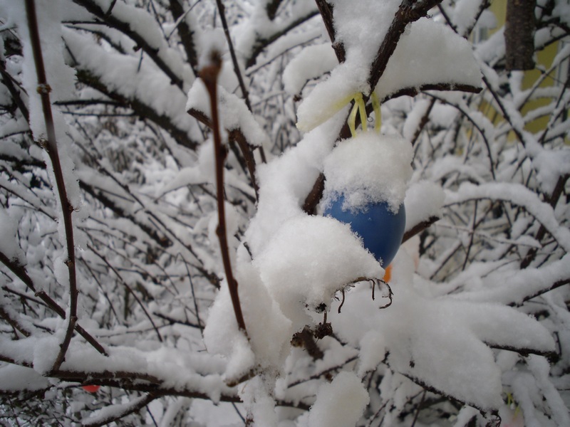 Immer noch Schnee...